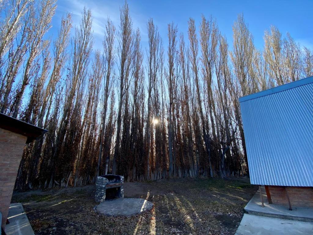 Hosteria & Cabanas Rio Fenix Perito Moreno Buitenkant foto